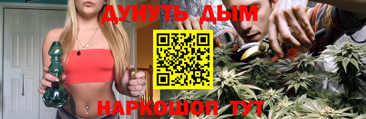 Марихуана сатива Богданович